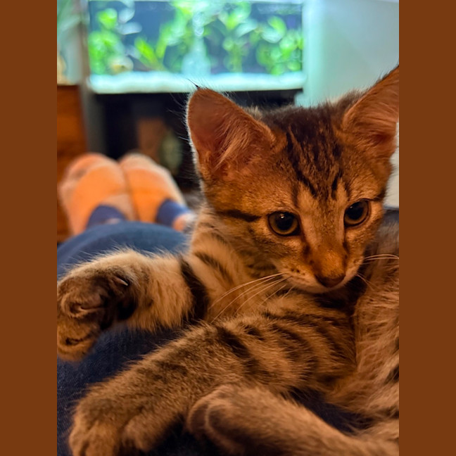 Photo of Rosie