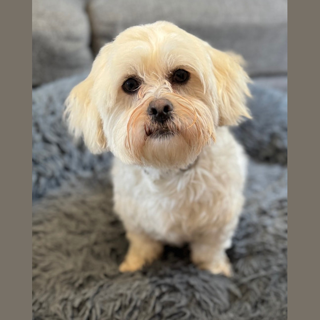 Photo of Thelma
