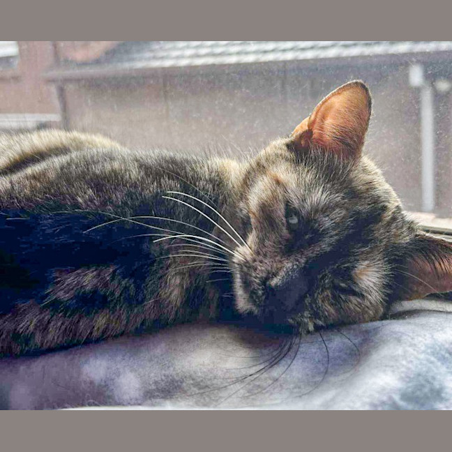 Photo of Marceline