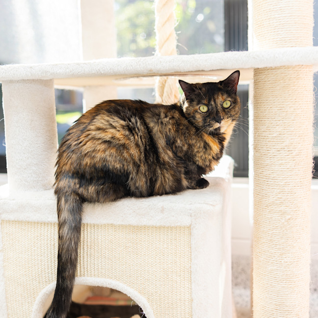 Photo of Maya
