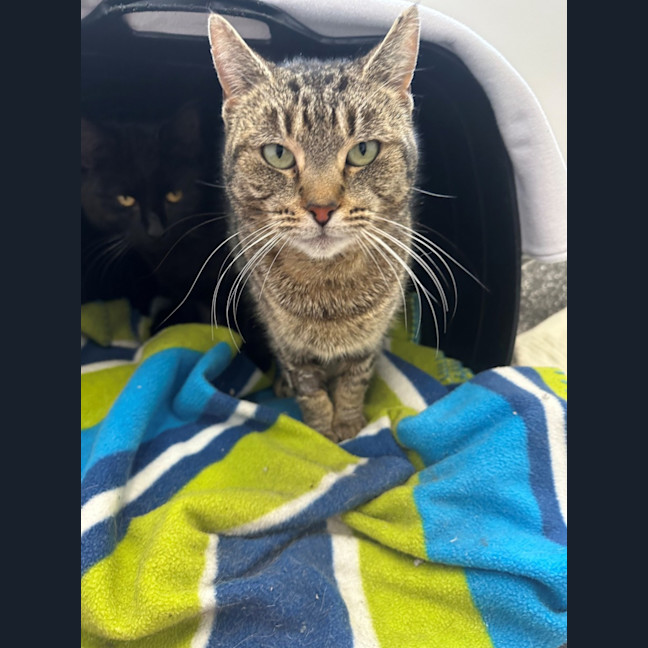 Photo of Ferris And Jeanie 