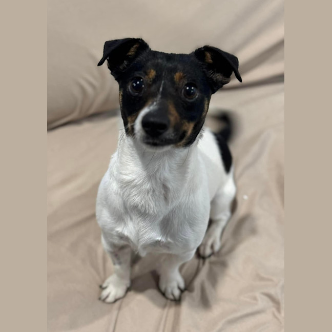 Photo of Little Bean 