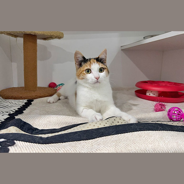 Photo of Persephone