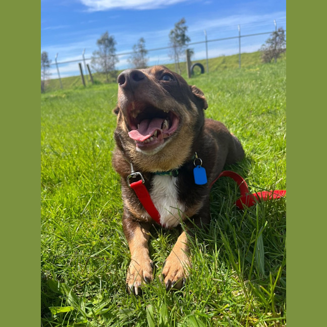 Photo of Mack