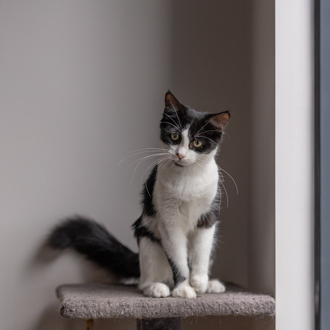 Photo of Harper