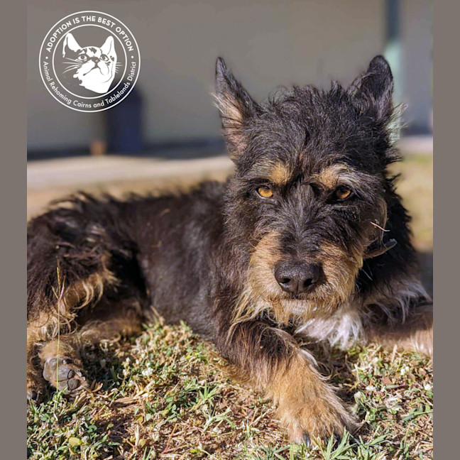 Photo of Chev And Elvis