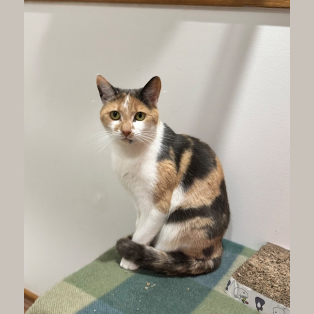 Photo of Lola And Annie