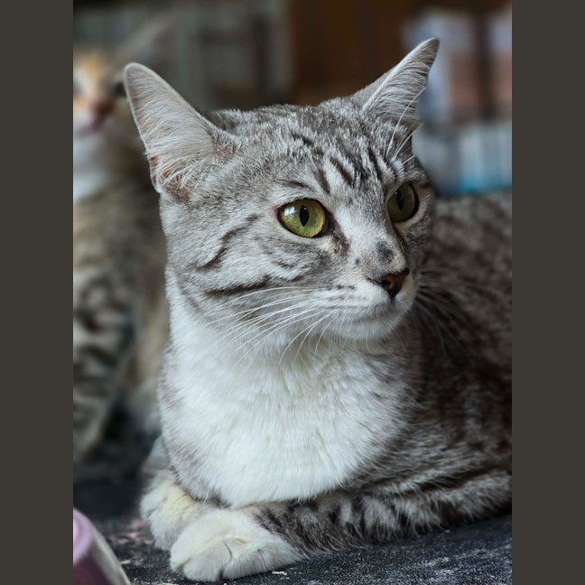 Photo of Talia
