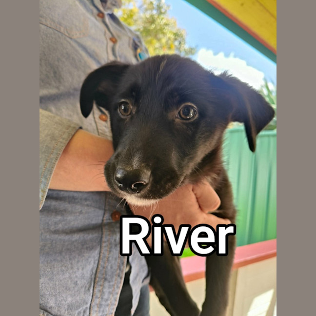 Photo of River
