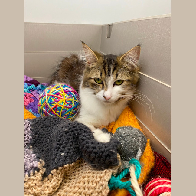 Photo of Tessalyn And Cordelia