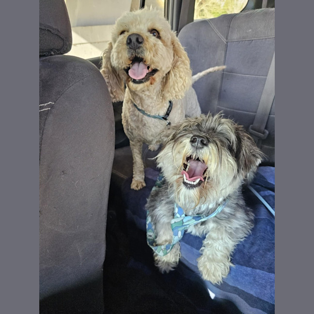 Photo of Cali And Theo