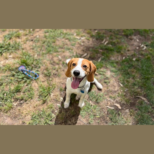 Photo of Bagel