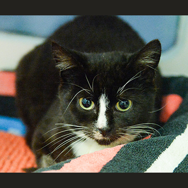 Photo of Trevor