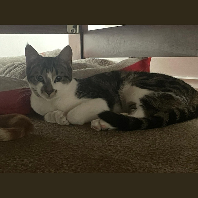 Photo of Avery