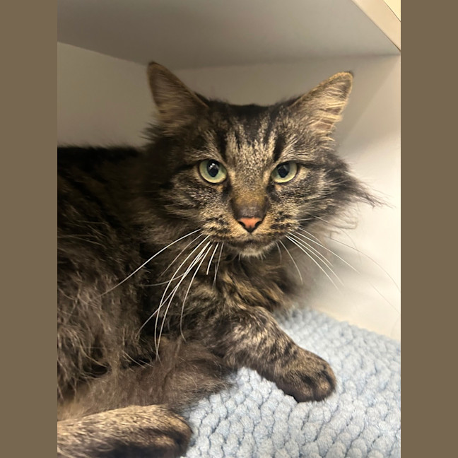 Photo of Bonnie