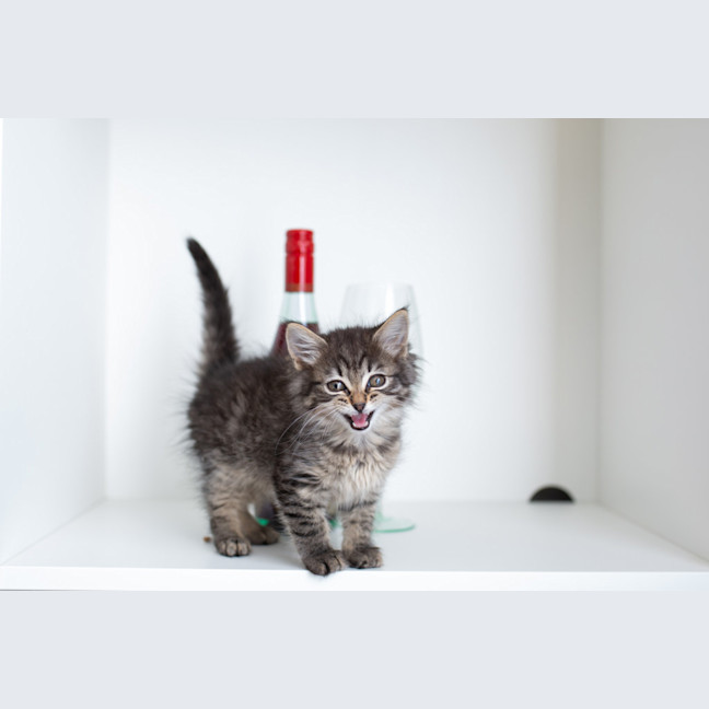 Photo of Stacys Sister