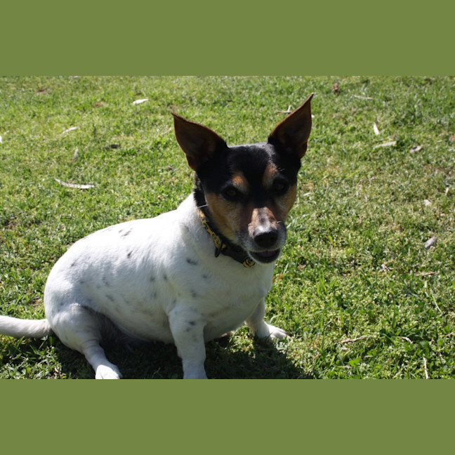 Photo of Ziggy And Zepha