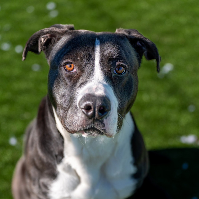 Photo of Michael Imp 887