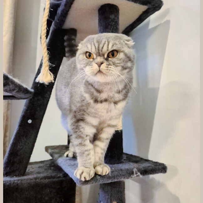 Photo of ⛈️storm⛈️