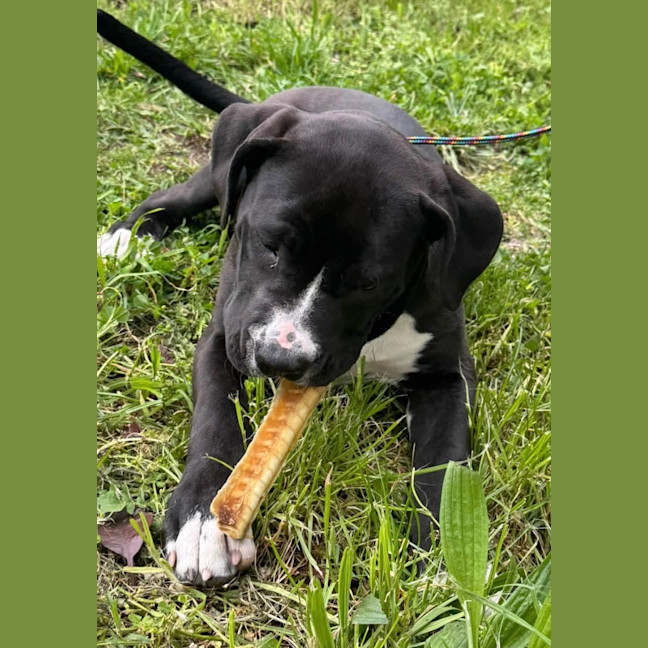 Photo of Bruce