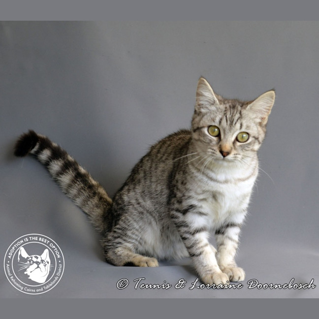 Photo of Twinkletoez