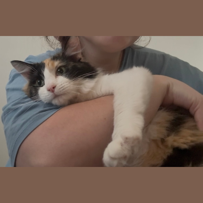 Photo of Callie