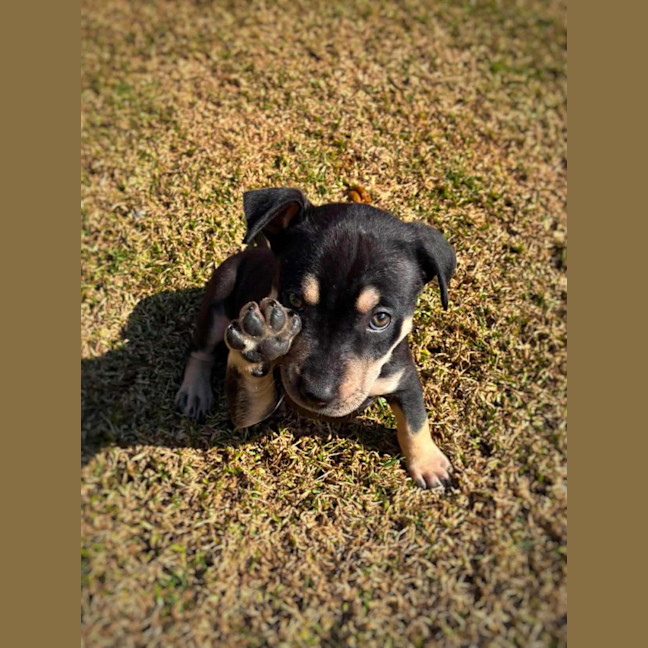 Photo of Reginald