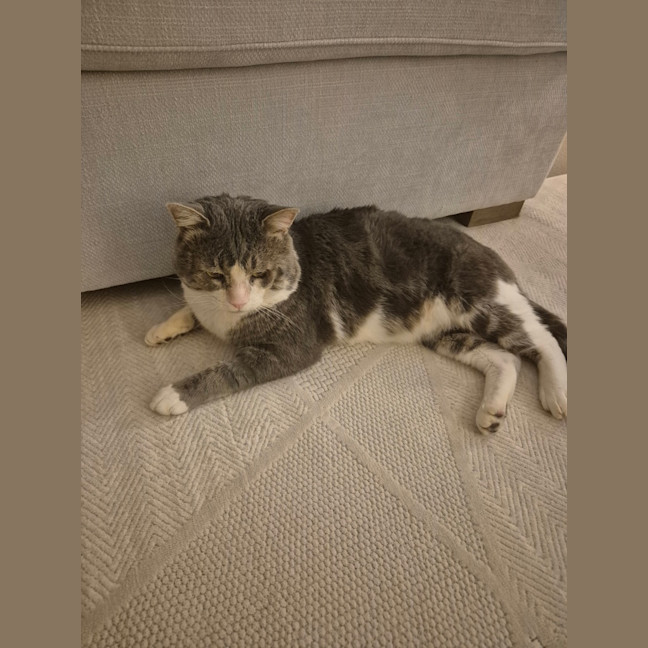 Photo of Tom