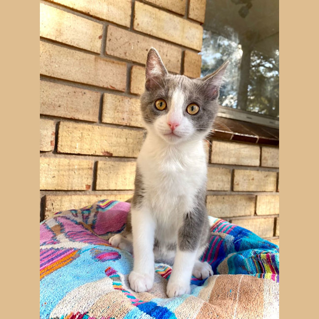 Photo of Jasper