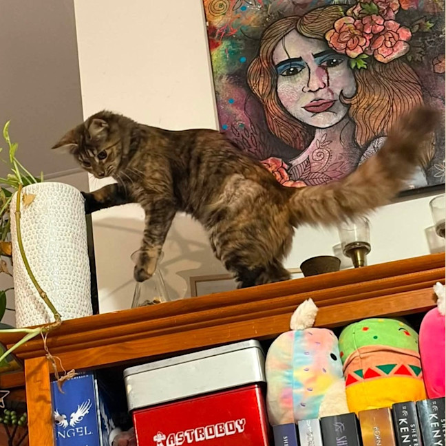Photo of Nutmeg