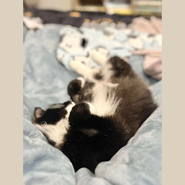 Photo of Jasmine