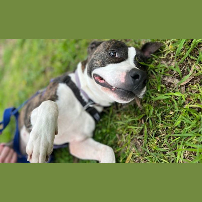 Photo of Lucy