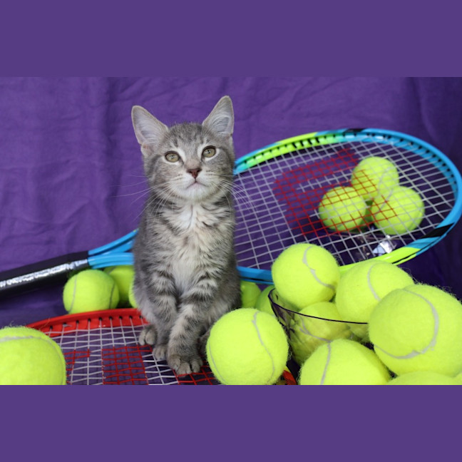 Photo of Fleur