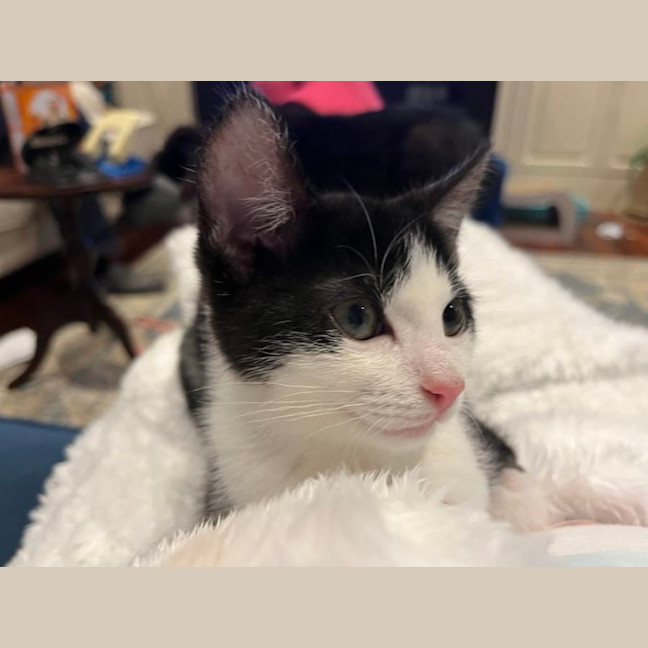 Photo of Maggie