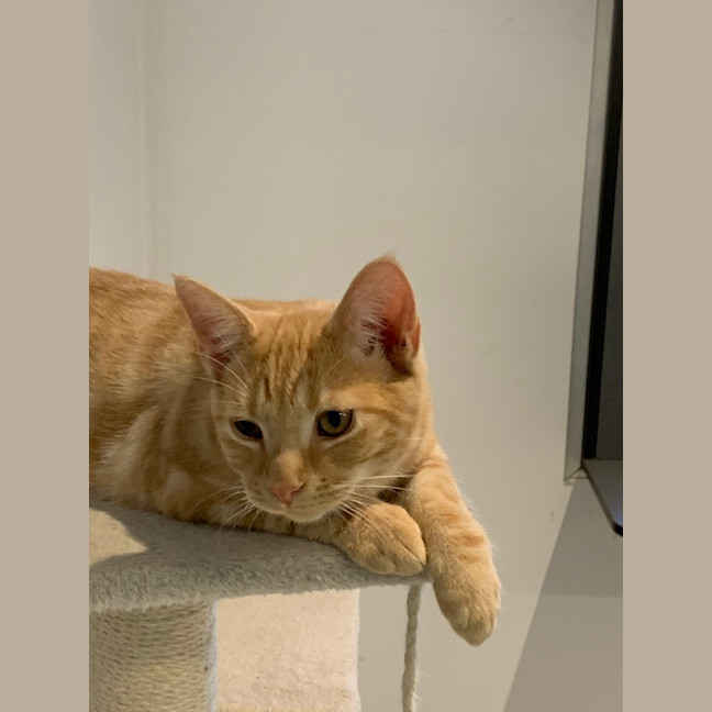 Photo of Vincent