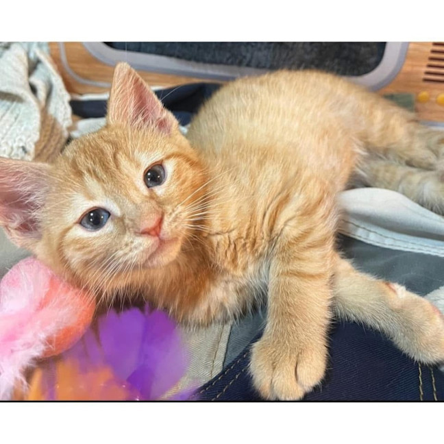 Photo of 11555   Meggsy