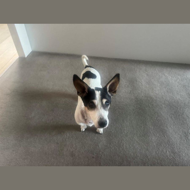 Photo of Ruby And Vincent Silvanus