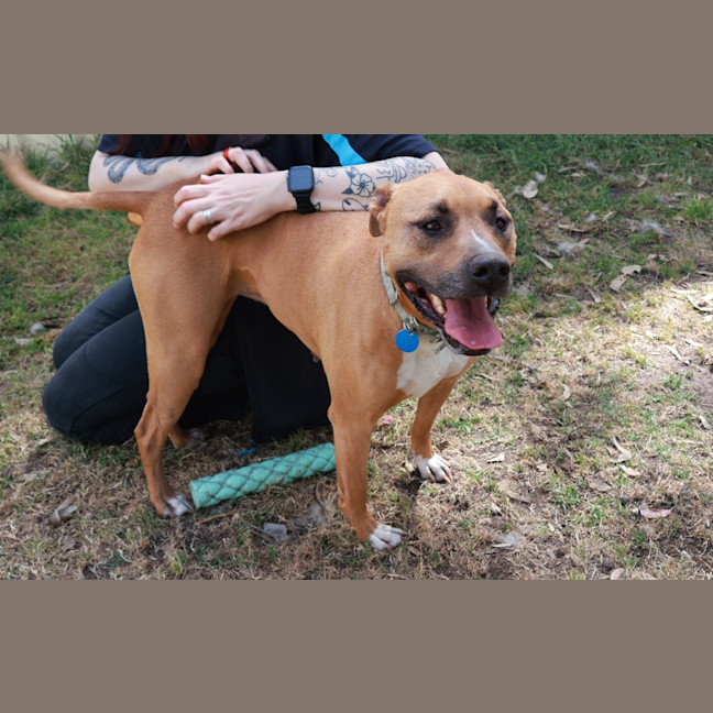 Photo of Penny