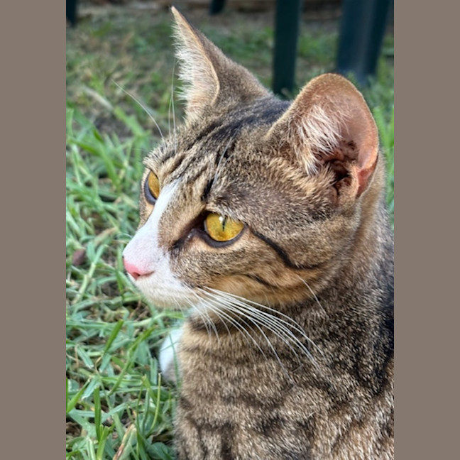 Photo of Milly