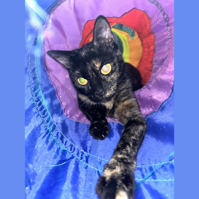 Photo of Evie