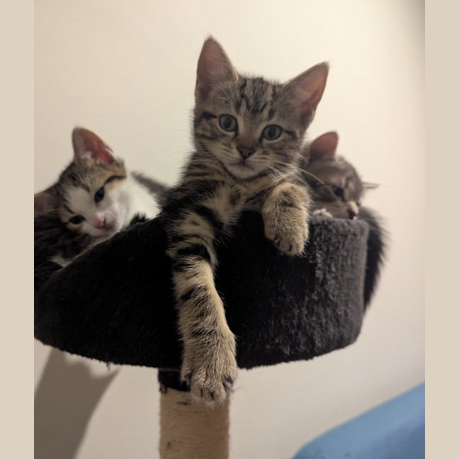 Photo of Lucia Scotty