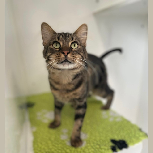 Photo of Ralph