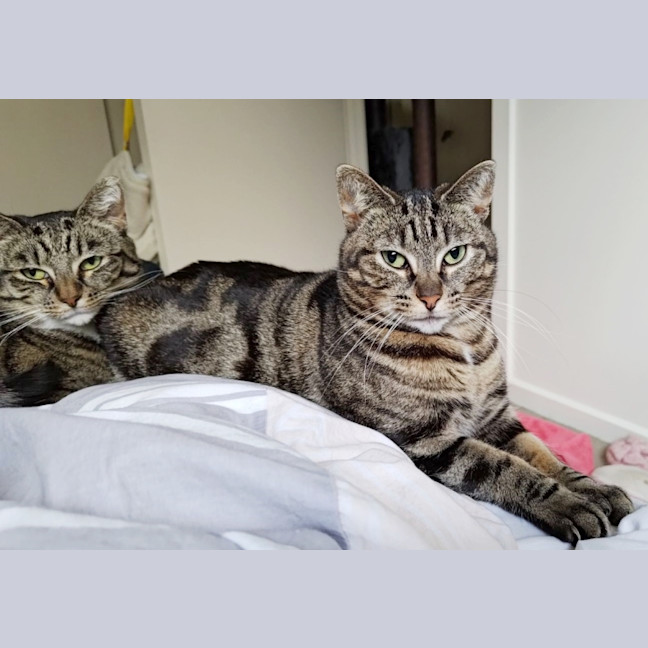 Photo of Thelma Sta012466