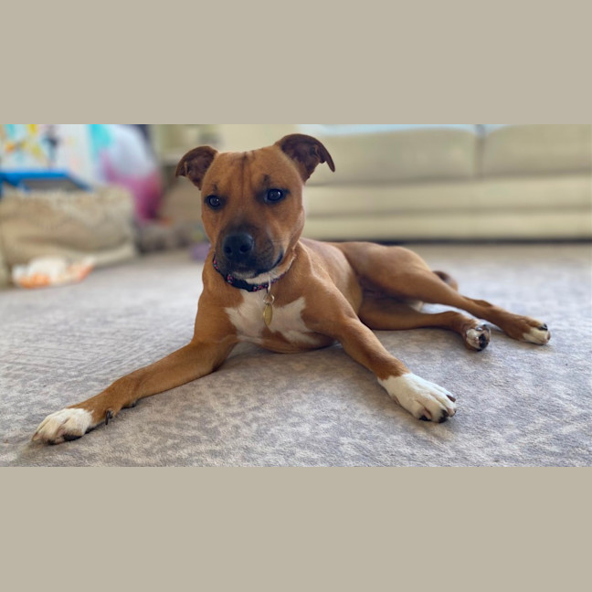 Photo of Rinleigh