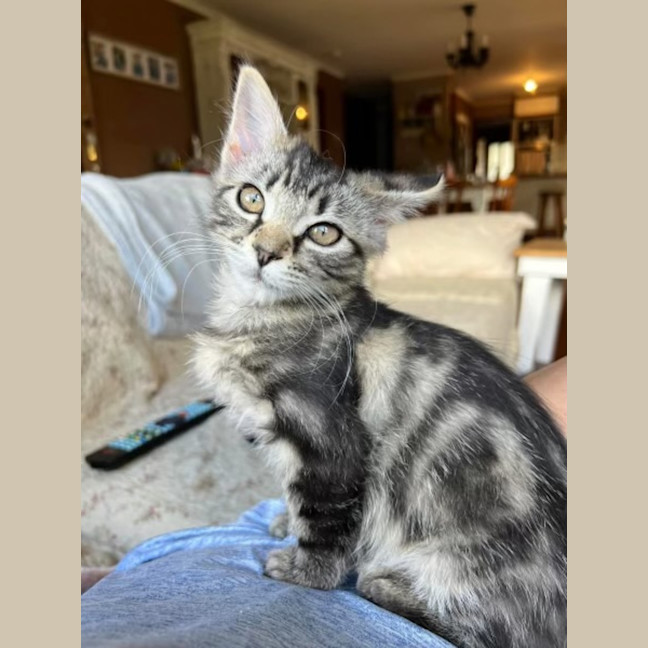 Photo of Taylah