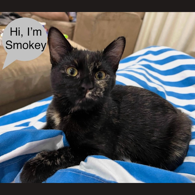Photo of Smokey