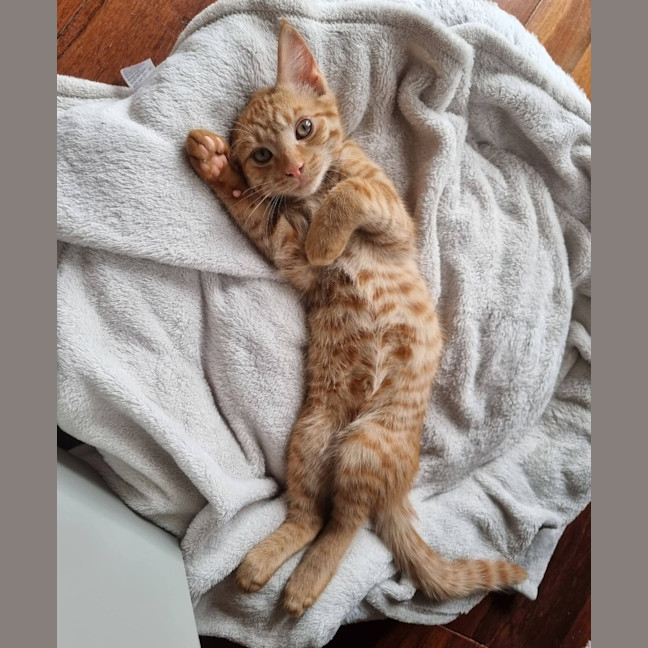 Photo of Hamish