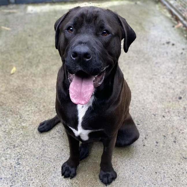 Photo of Tyson