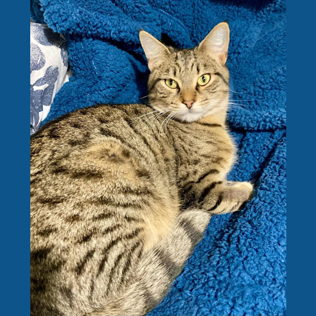 Photo of Mavis