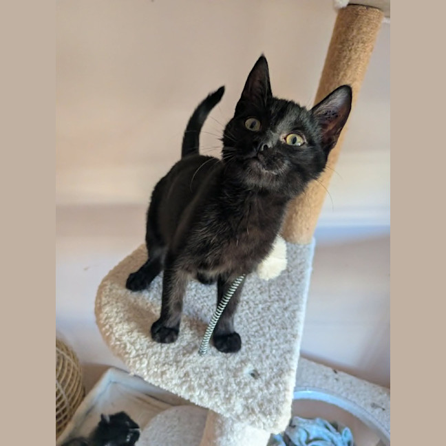 Photo of Buster